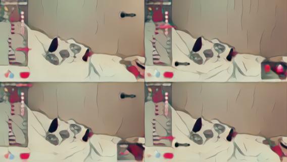 Dolv_1o直播视频封面16